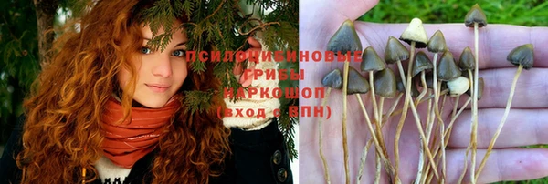 не бодяженный Арсеньев