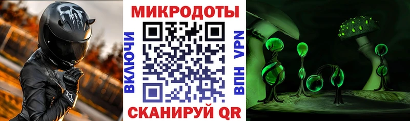 mega ONION Байкальск Псилоцибиновые грибы мицелий